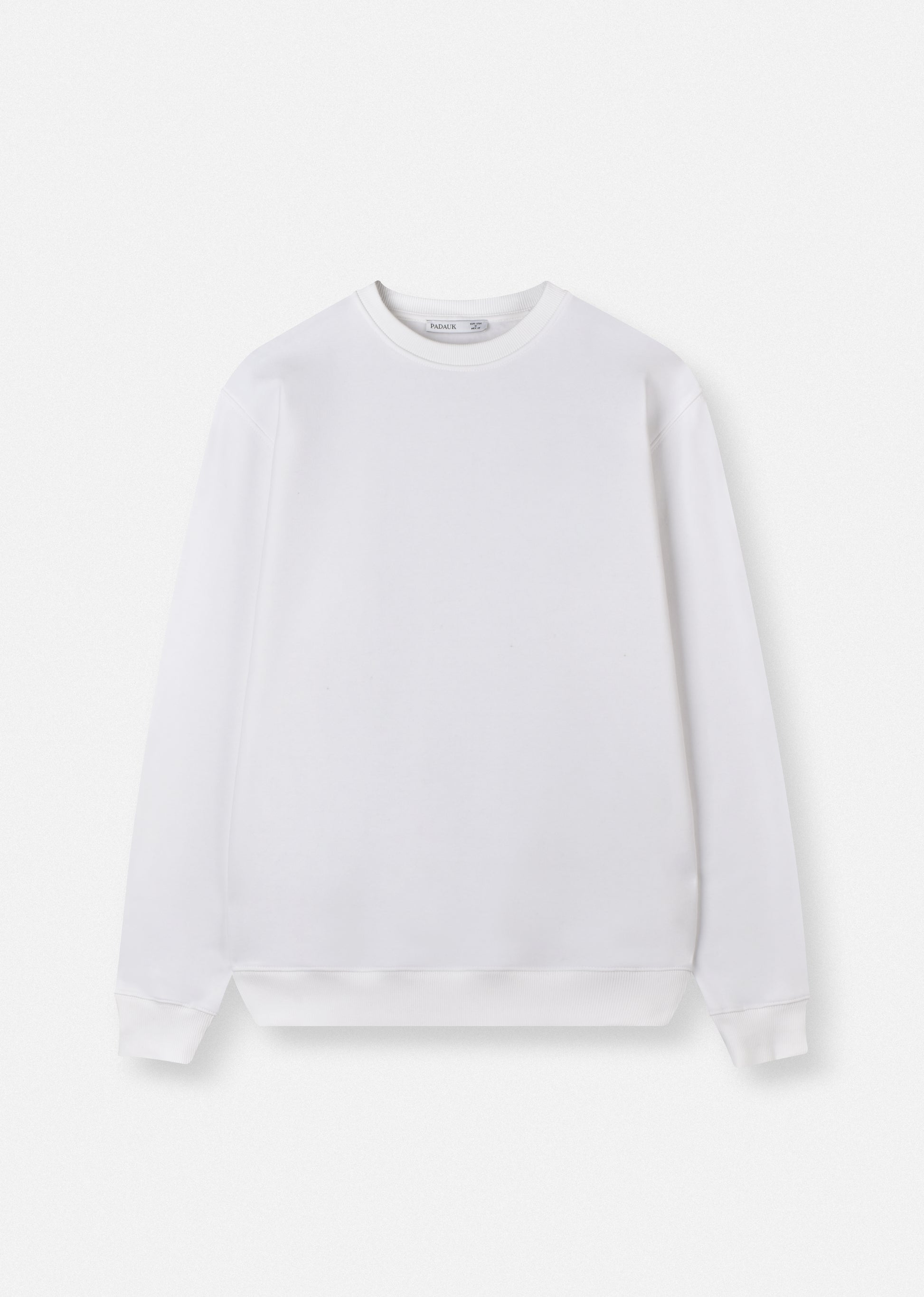 BASIC OVERSIZE SWEATSHIRT