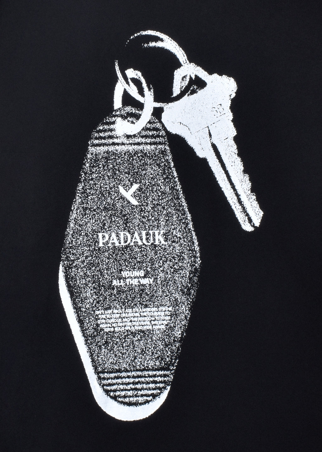PRINTED BOXY-FIT T-SHIRT