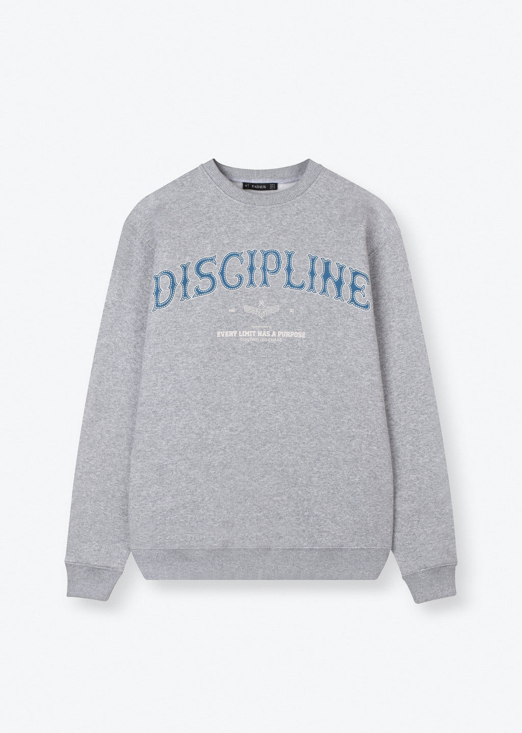 PRINTED OVERSIZE SWEATSHIRT