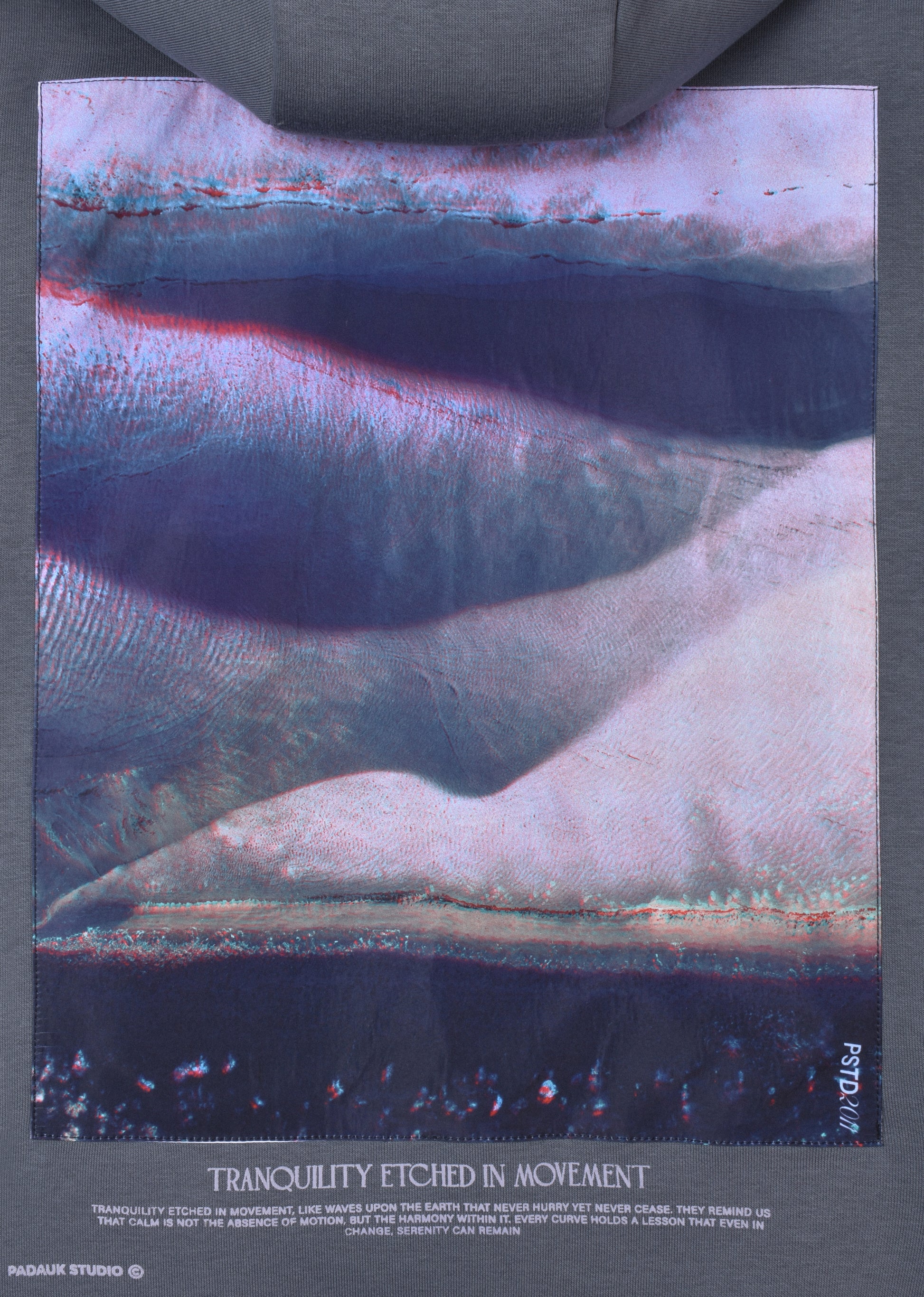 PRINTED PATCH HOODIE