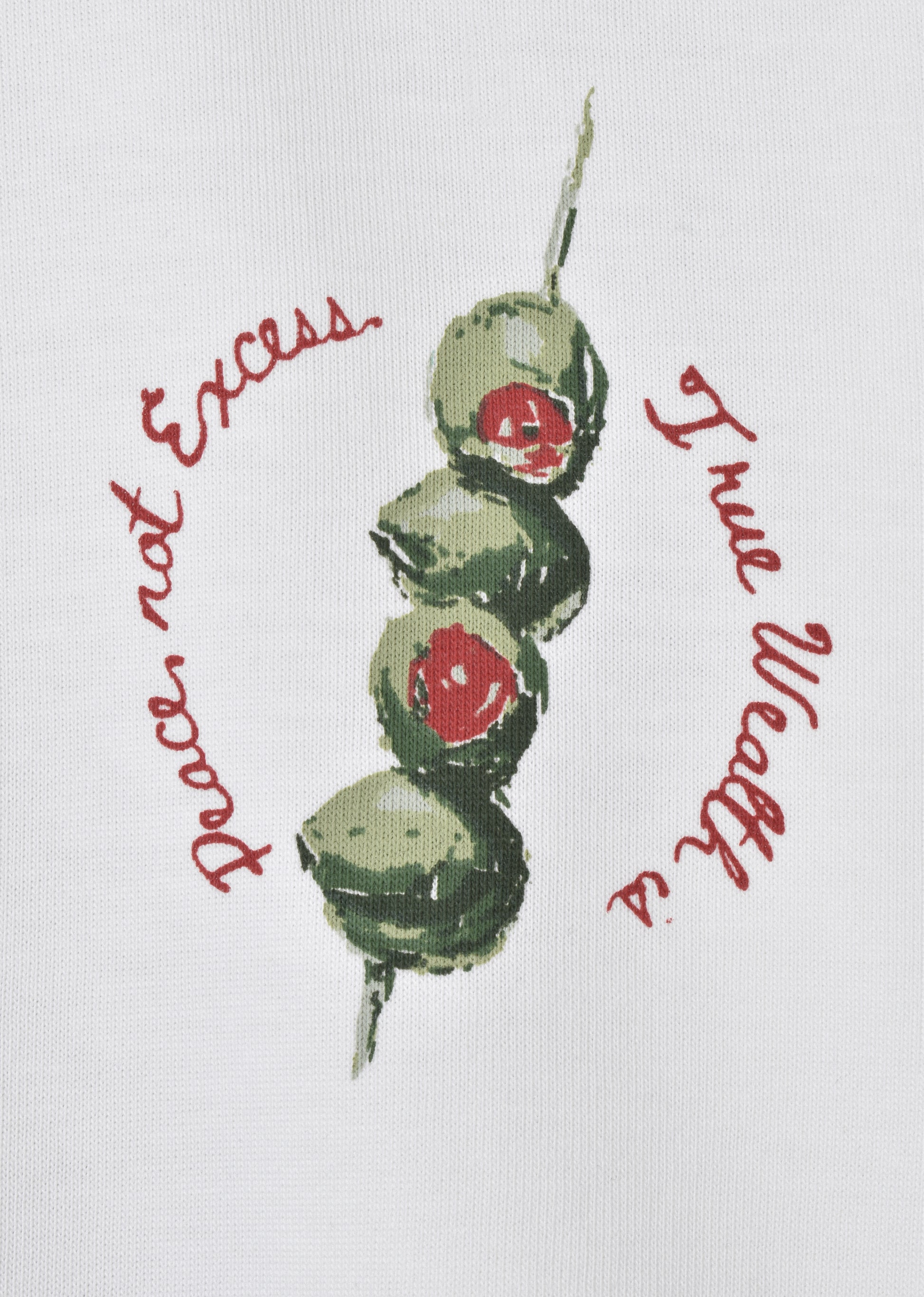 EMBROIDERED OVERSIZE T-SHIRT