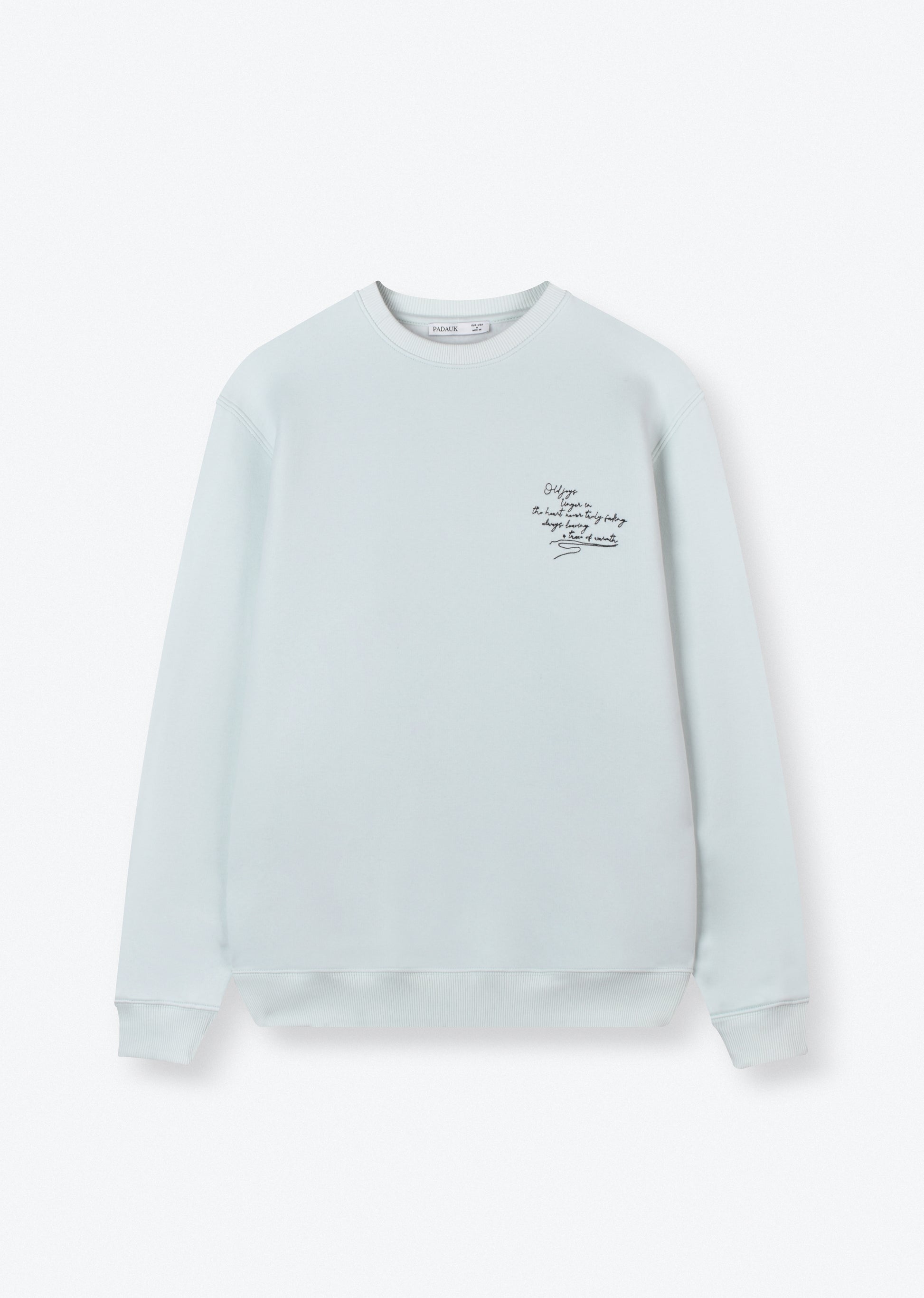 EMBROIDERED OVERSIZE SWEATSHIRT