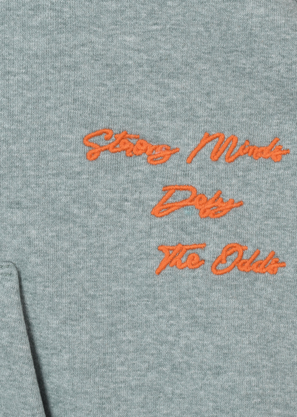 EMBROIDERED OVERSIZE HOODIE