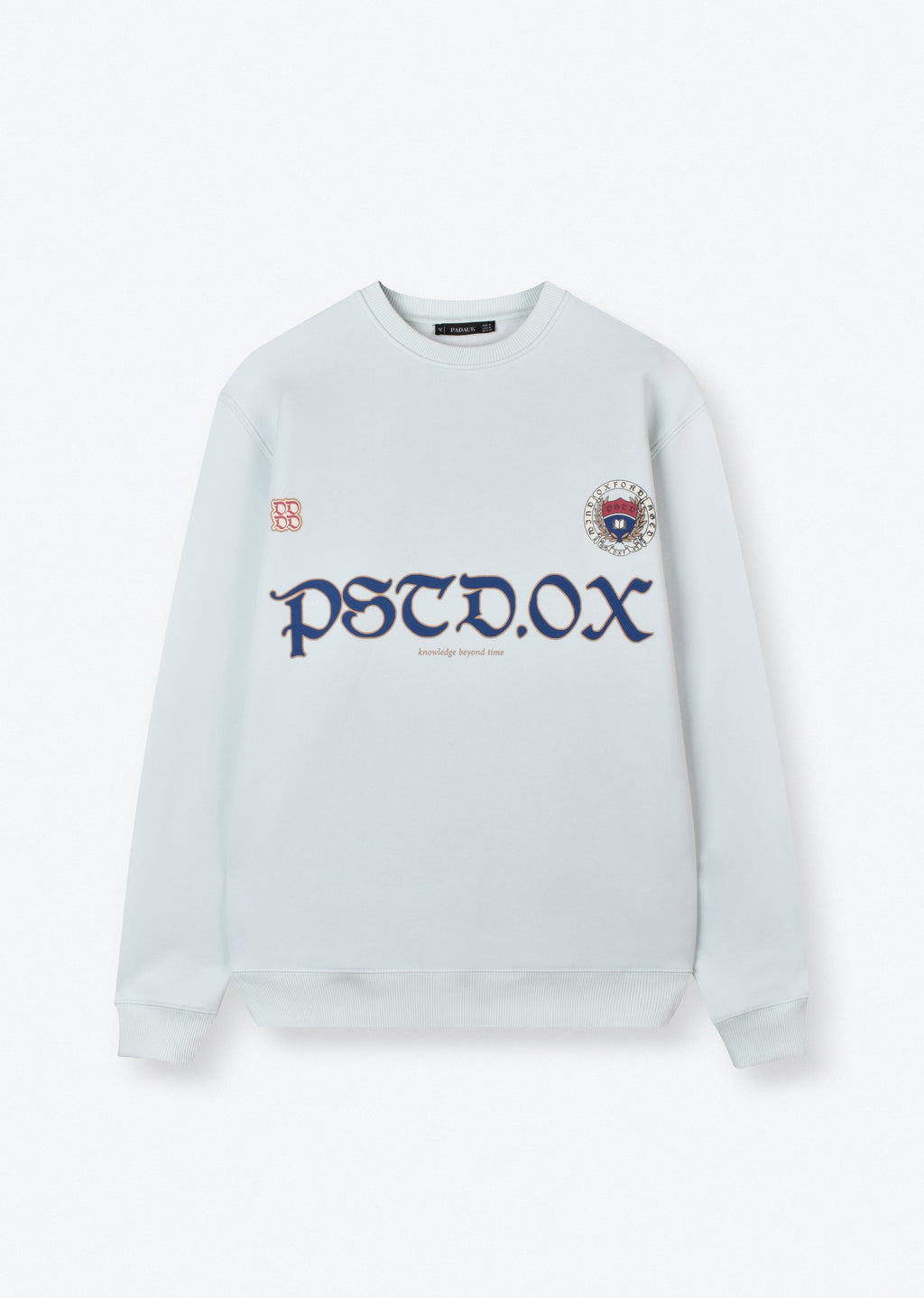 PRINTED OVERSIZE SWEATSHIRT