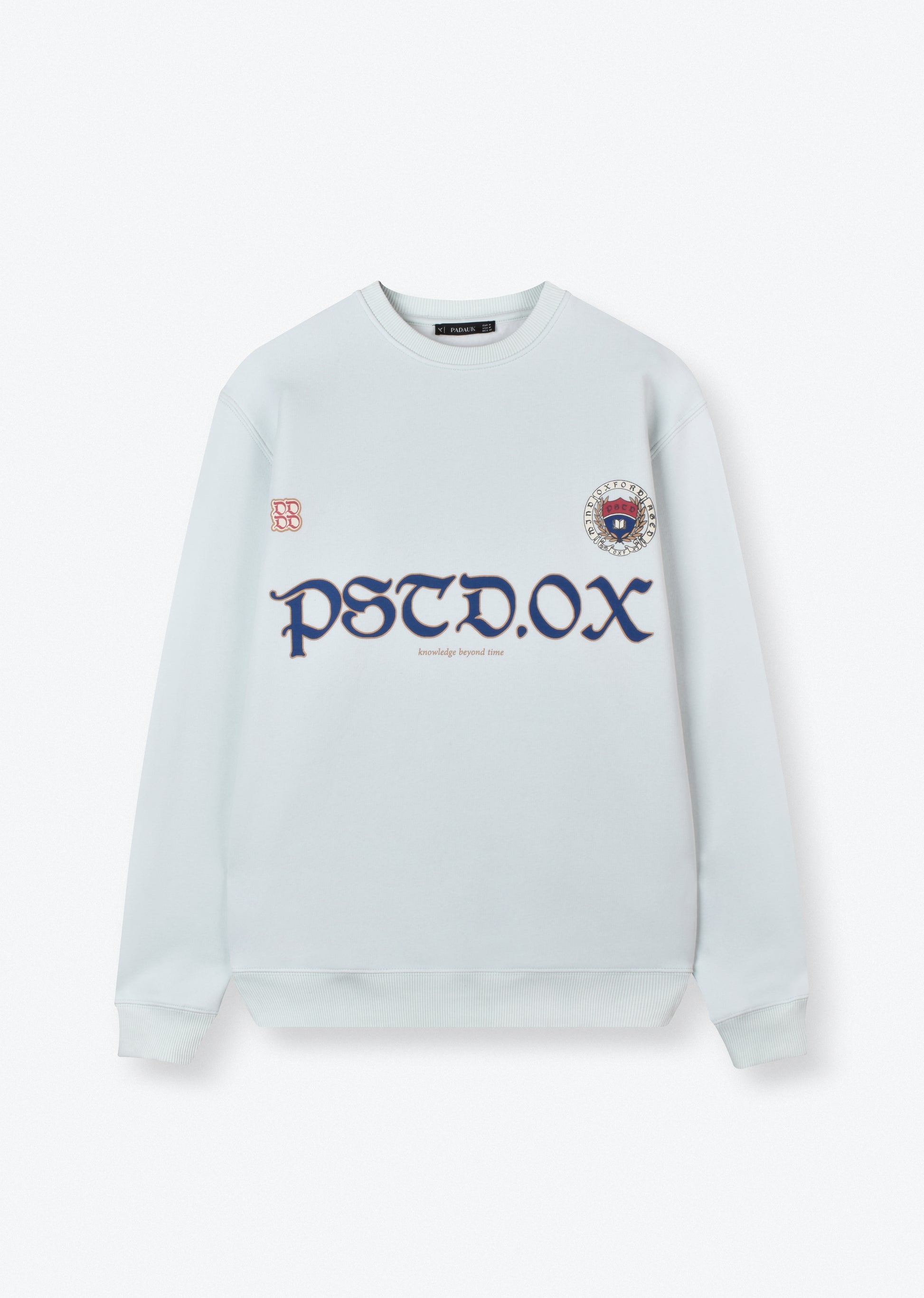 PRINTED OVERSIZE SWEATSHIRT