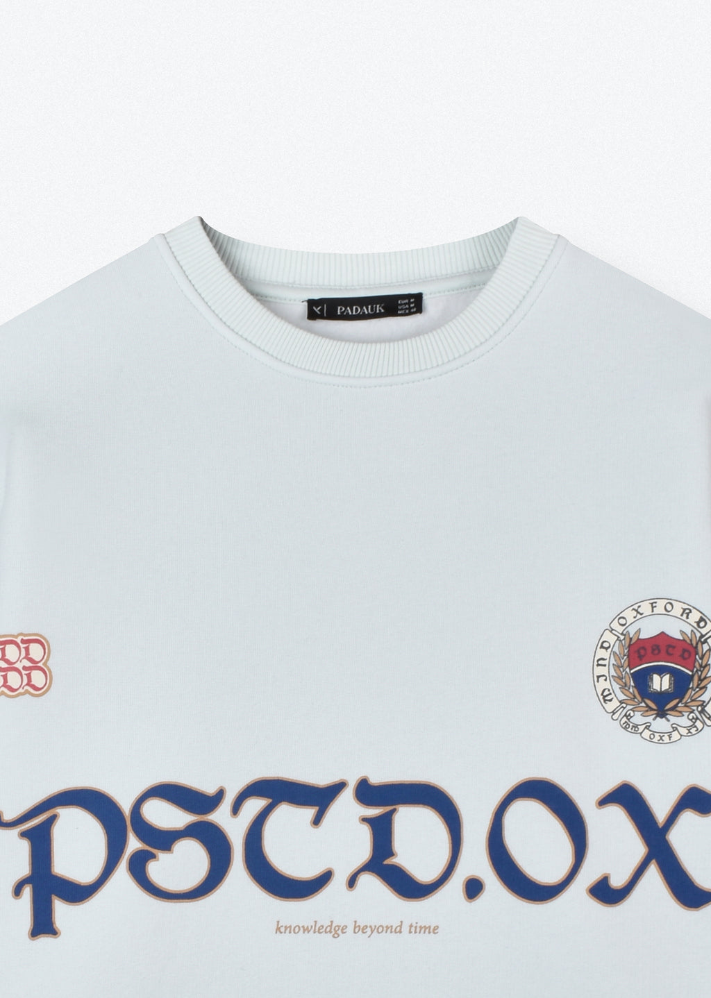 PRINTED OVERSIZE SWEATSHIRT