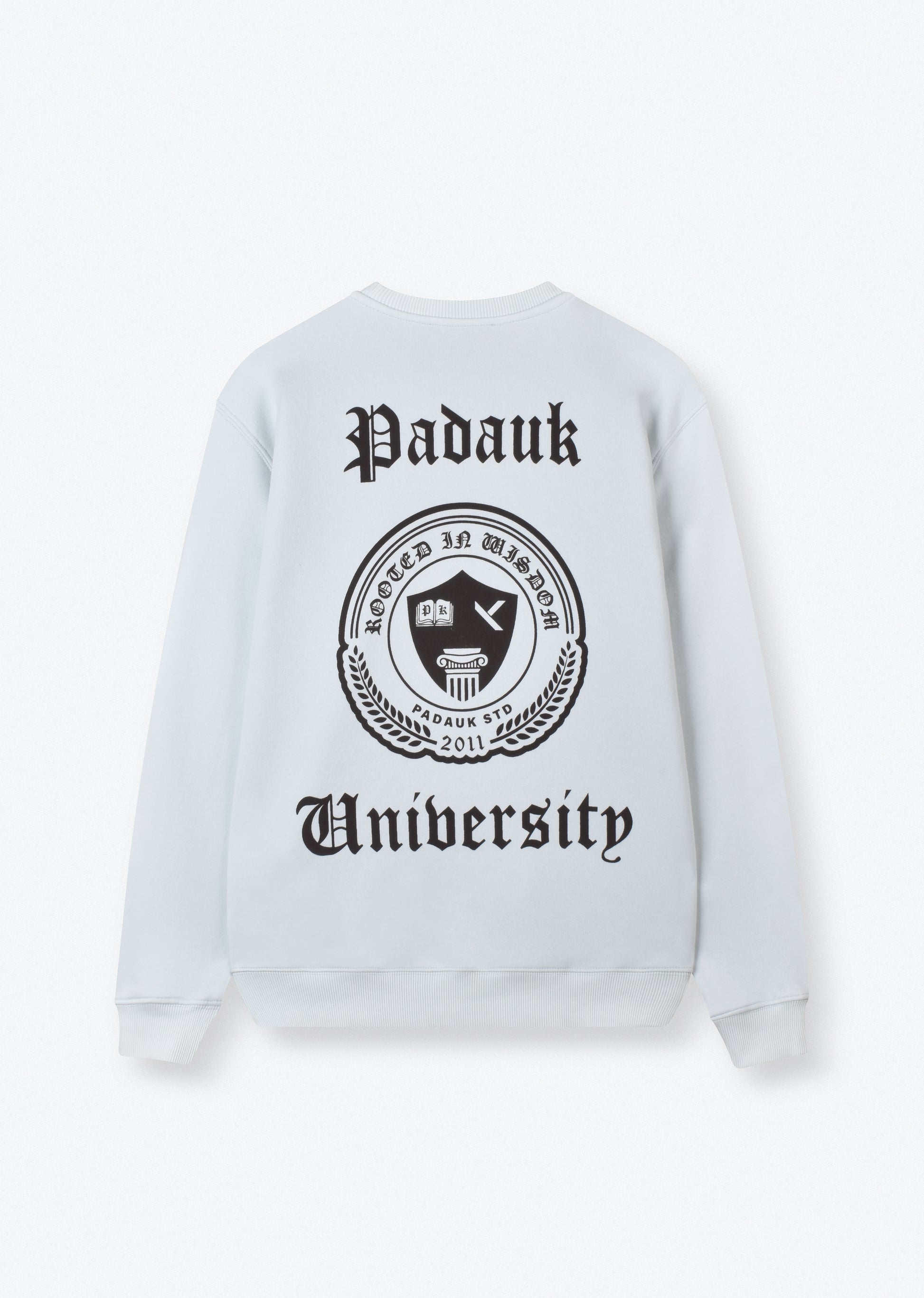 PRINTED OVERSIZE SWEATSHIRT