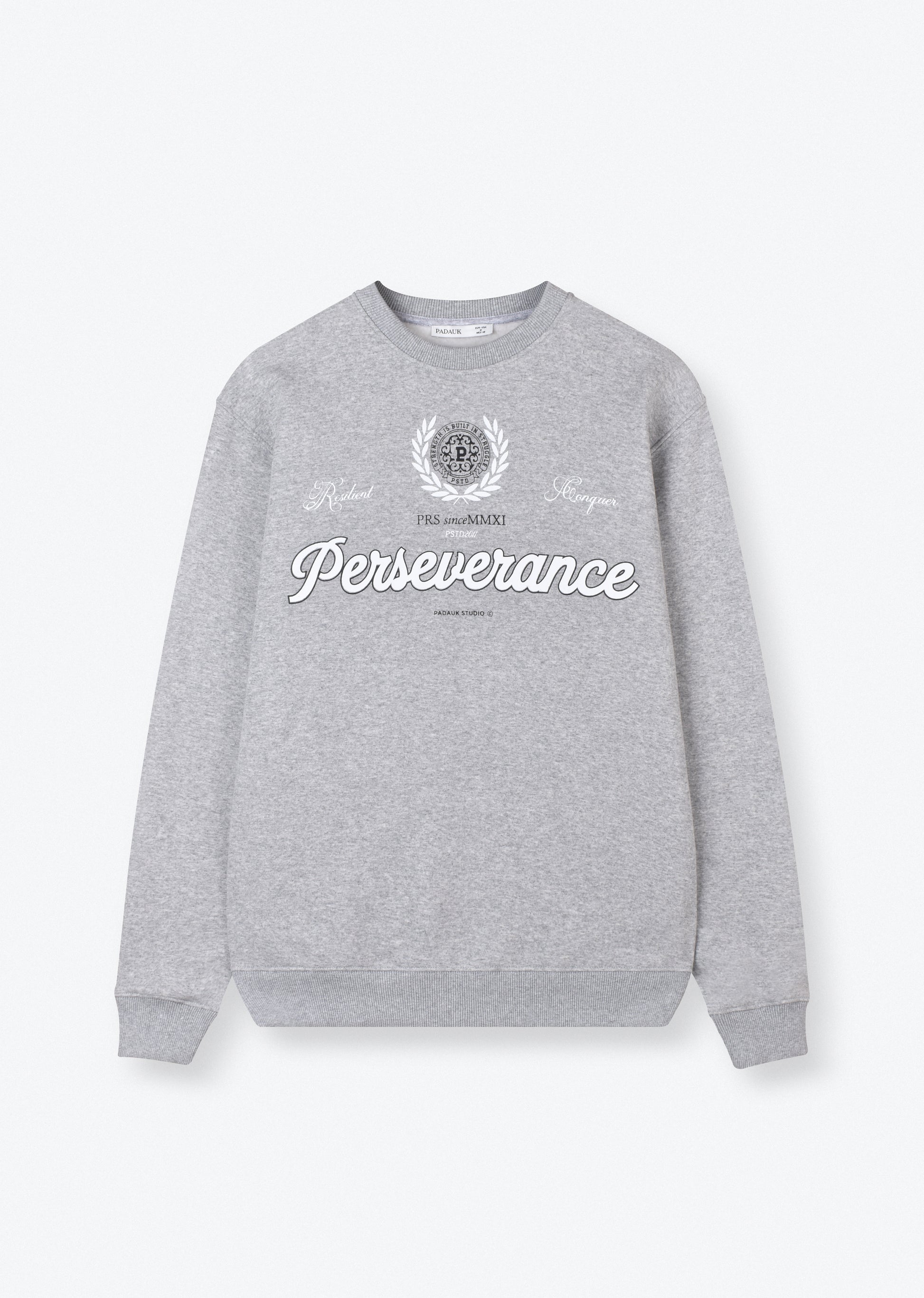 PRINTED OVERSIZE SWEATSHIRT