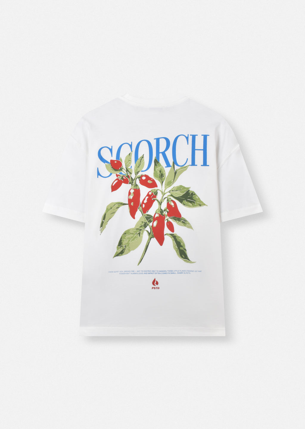 PRINTED BOXY-FIT T-SHIRT