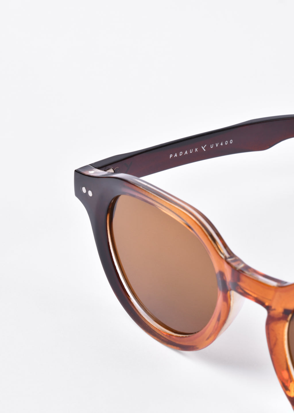 ORBIT TORTOISESHELL SUNGLASSES