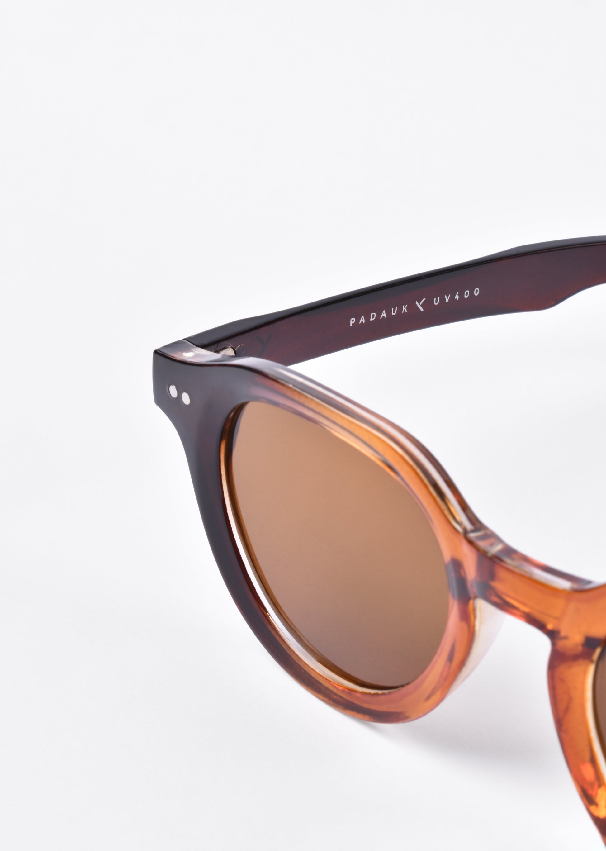 ORBIT TORTOISESHELL SUNGLASSES