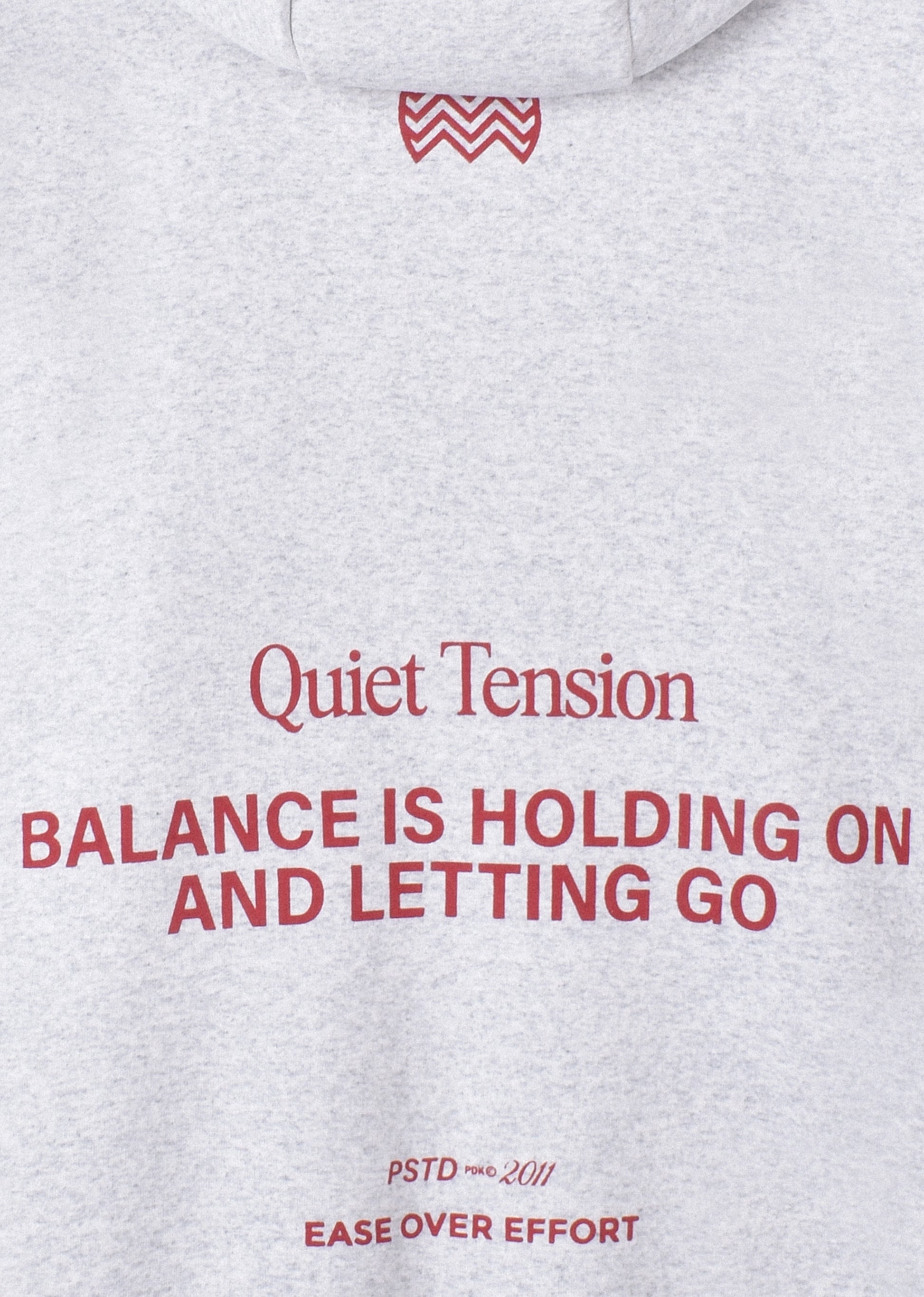 OVERSIZE PRINTED HOODIE