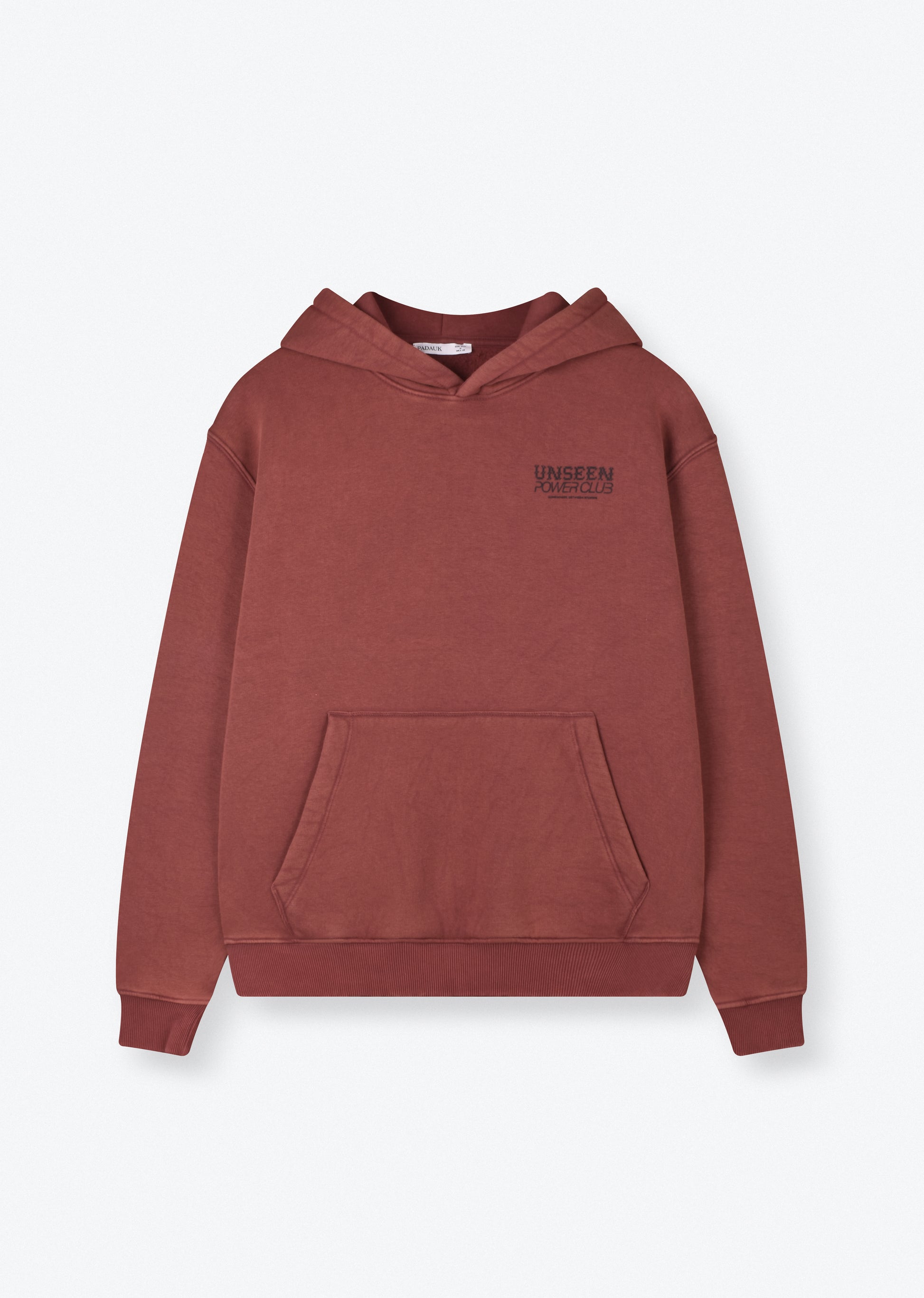 WASHED PRINTED HOODIE