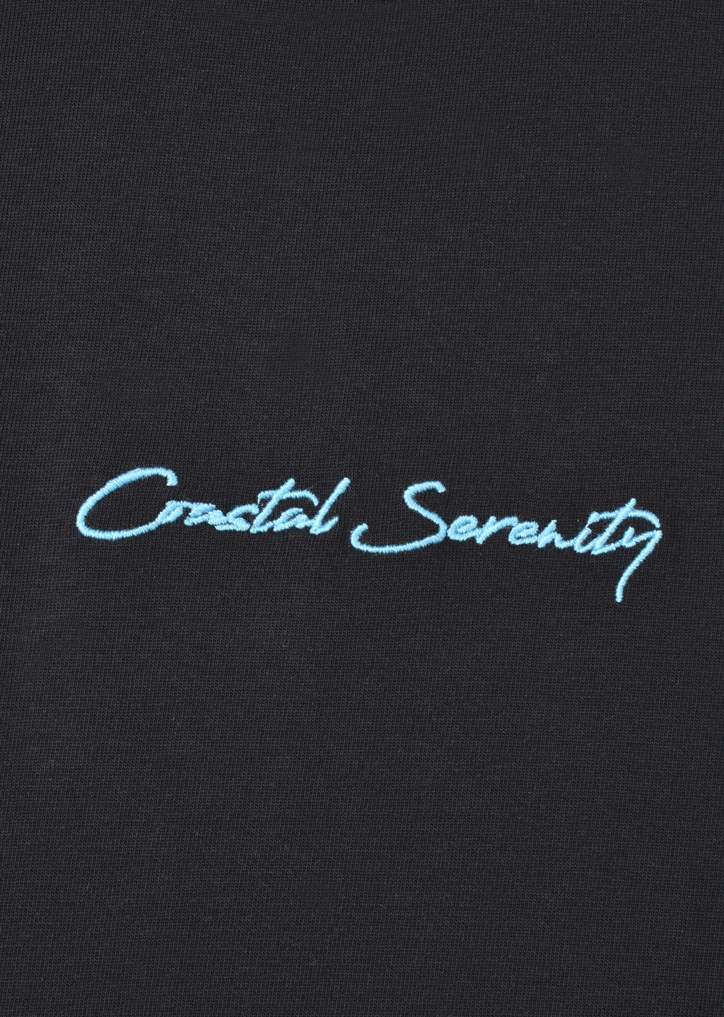 EMBROIDERED OVERSIZE T-SHIRT